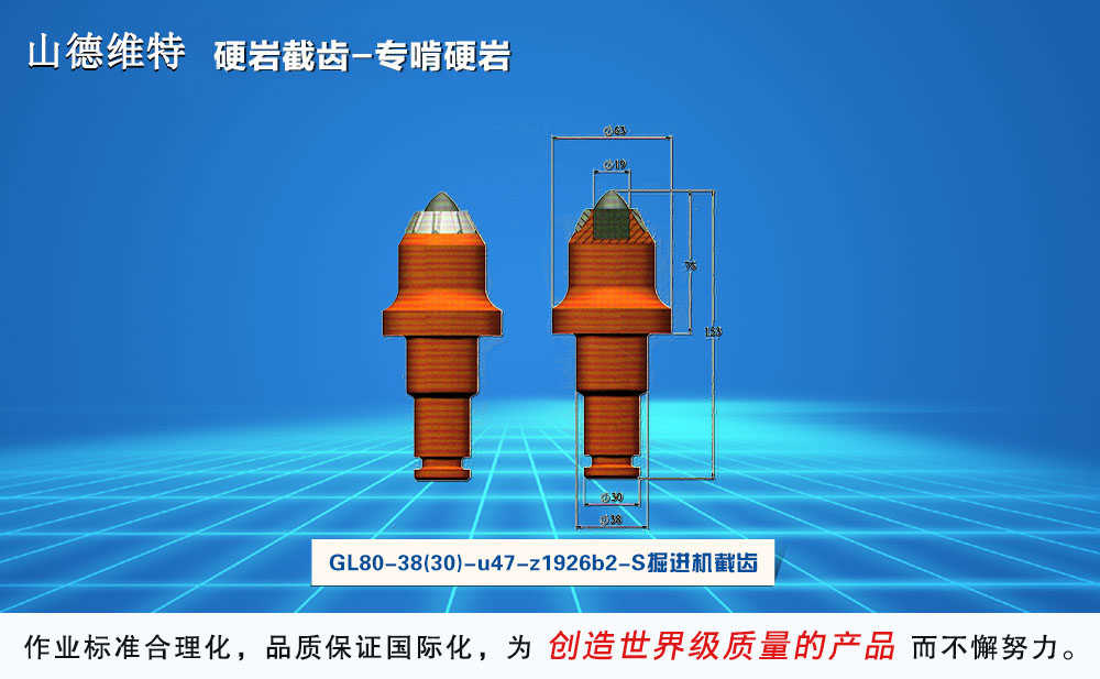 硬岩型掘进机镐形截齿图片